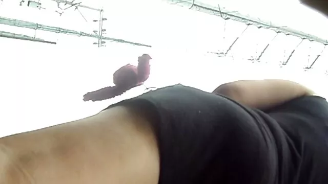 黒い白い男。 女性 向け アダルト 画像