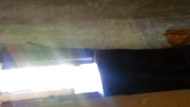 千秋ピアノ 無料 アダルト 動画 女性 用